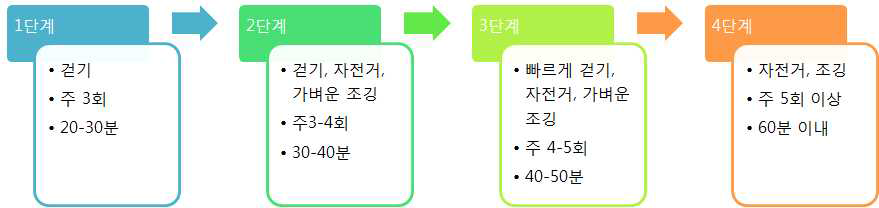 운동 초보자를 위한 기본 체력 증진 운동 프로그램