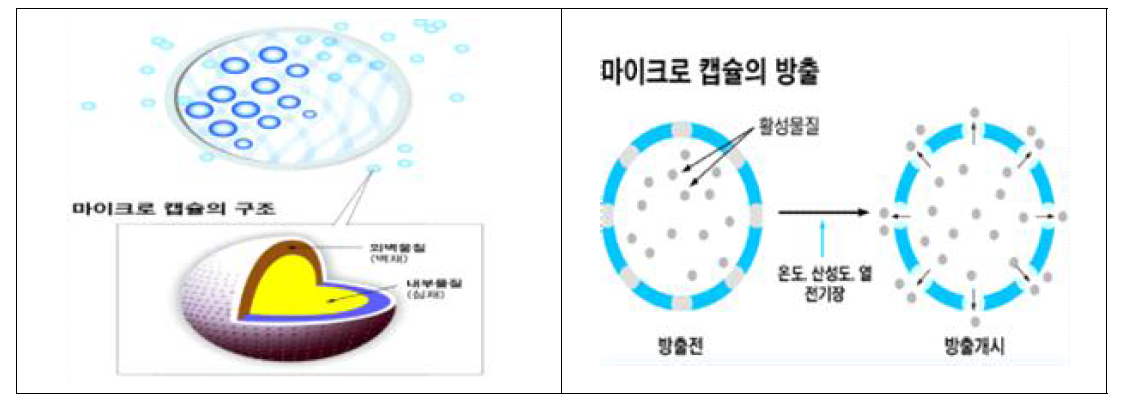 마이크로캡슐 구조 및 방출기전