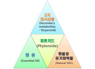 식물체의 피톤치드(phytoncide)의 실체