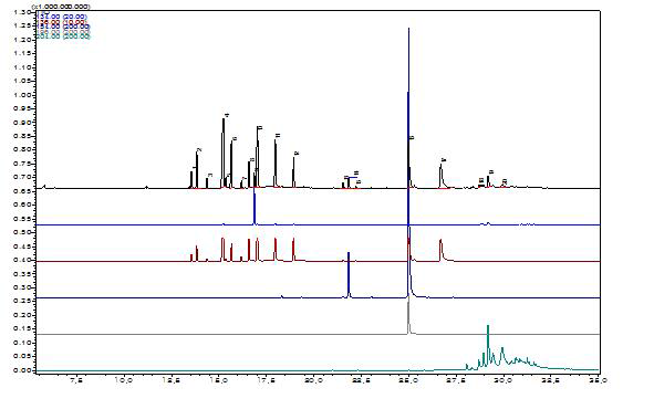 편백나무 피톤치드(정유) 추출물의 HS-GCMS 분석 크로마토그램