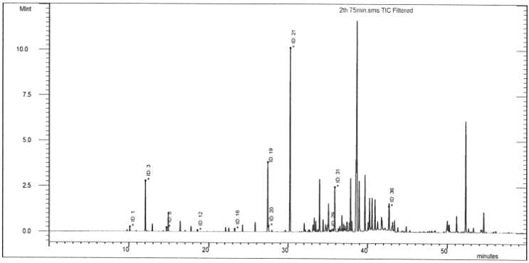 GC/MS Chromatogram of 2th extracts from chamaecyparis obtusa. : 60~75min