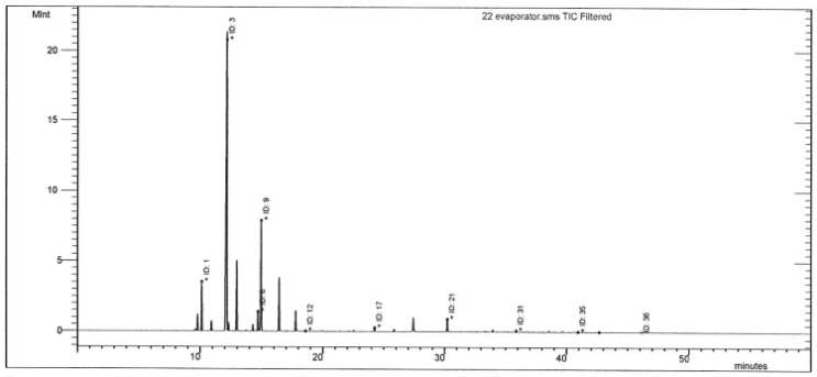GC/MS Chromatogram of extracts from chamaecyparis obtusa. : Evaporator