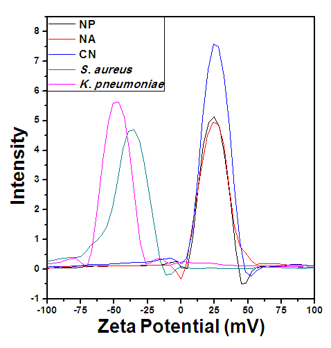 증류수에 분산된 현탁액 상태로 NP, NA, CN, S. aureus, K. pneumoniae의 Zeta-potential 측정결과.