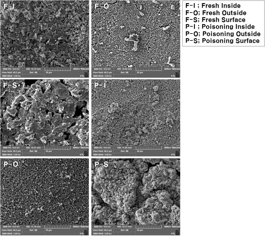 개발대상촉매의 SEM 분석결과