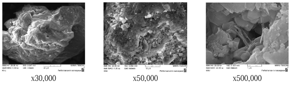 폐콘크리트 미분말의 미세구조(SEM)