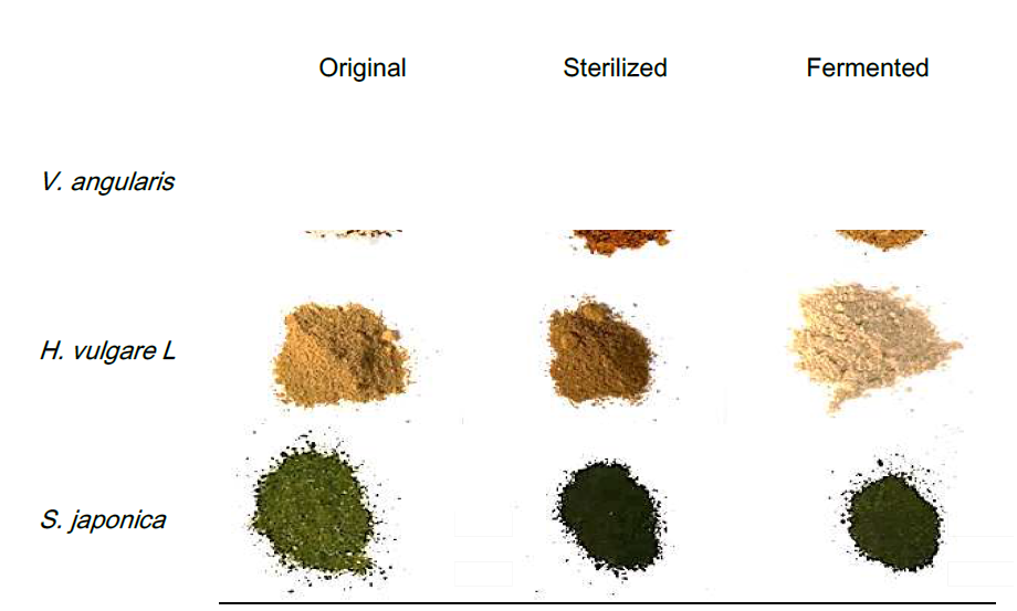 Picture of original, sterilized and fermented samples.