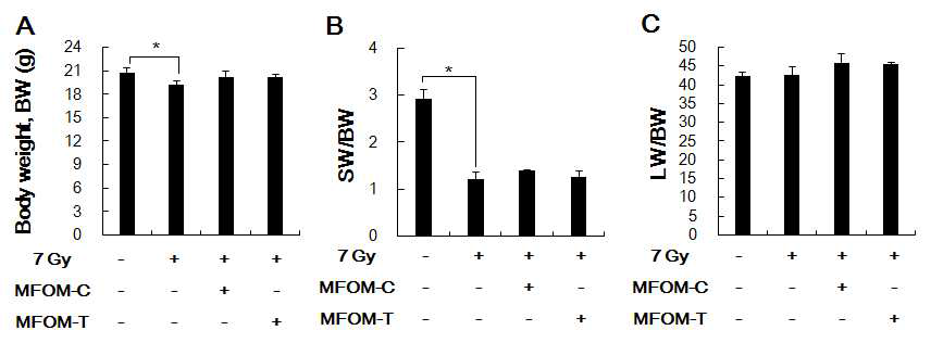 Effects of MFOM-C and MFOM-T on the body weight (BW), the spleen weight (SW)/BW and the liver weight (LW)/BW in 7 Gy-irradiated mice.