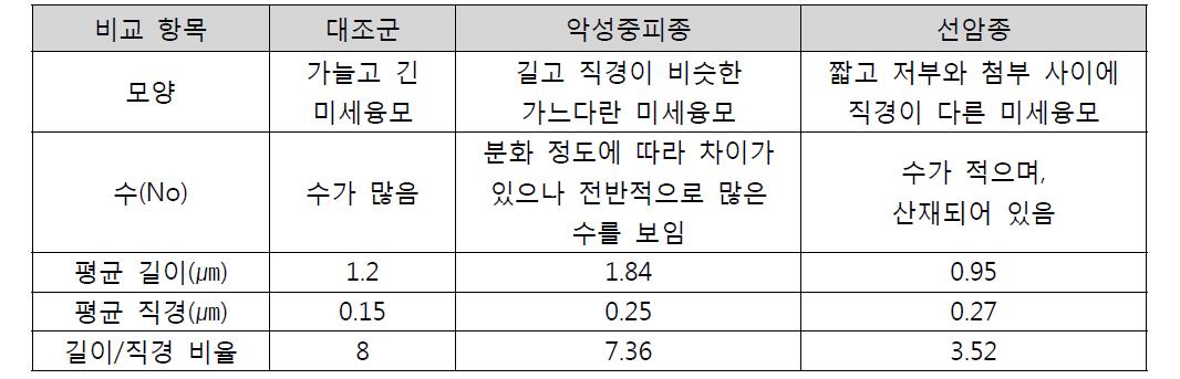 악성중피종과 전이선암종의 종양세포 미세융모의 비교