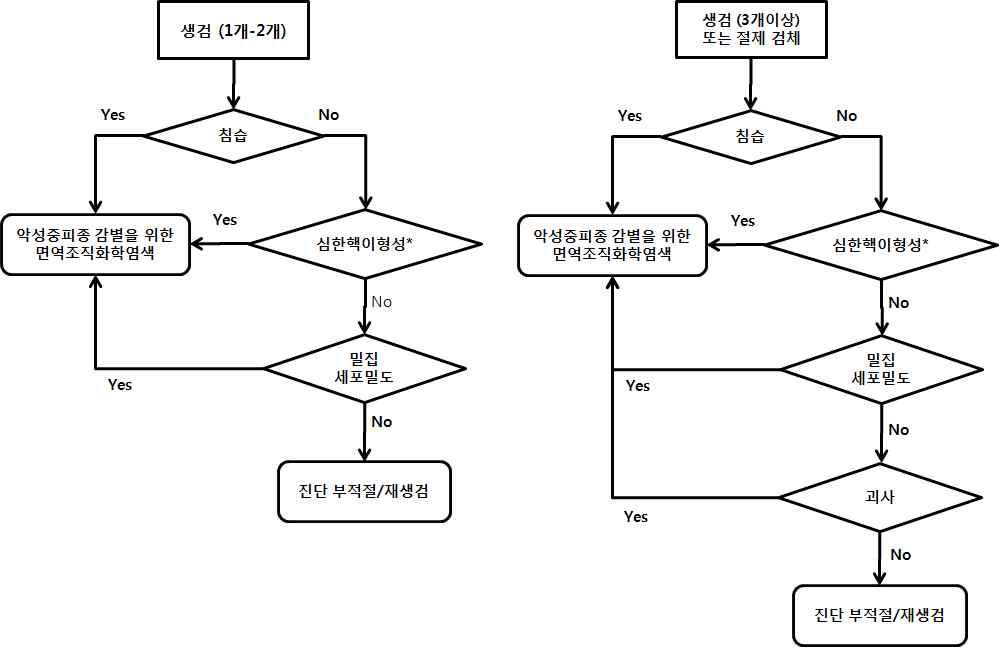 조직 검체별 진단 순서도