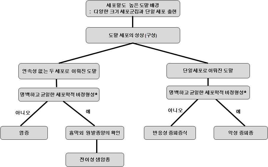 악성중피종 세포학적 진단의 개요