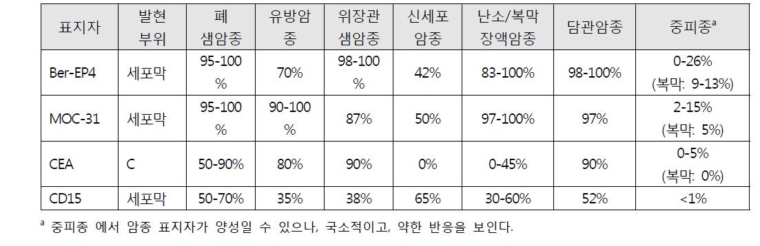 광범위 암종 표지자