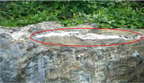 석면광산인근 거주지 주변에서 관찰된 석면