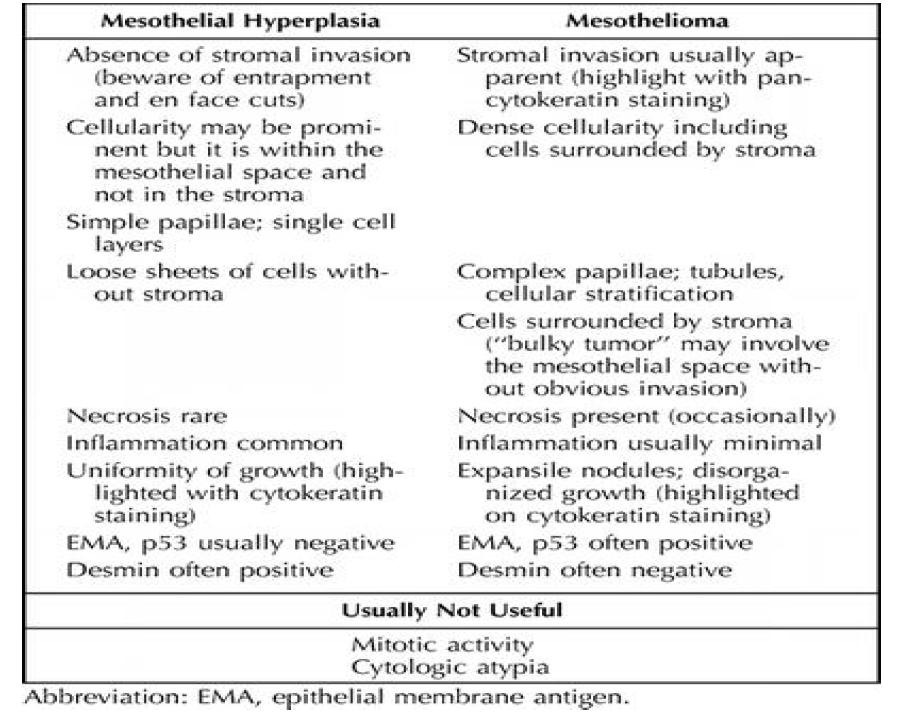 Reactive Mesothelial Hyperplasia versus Mesothelioma