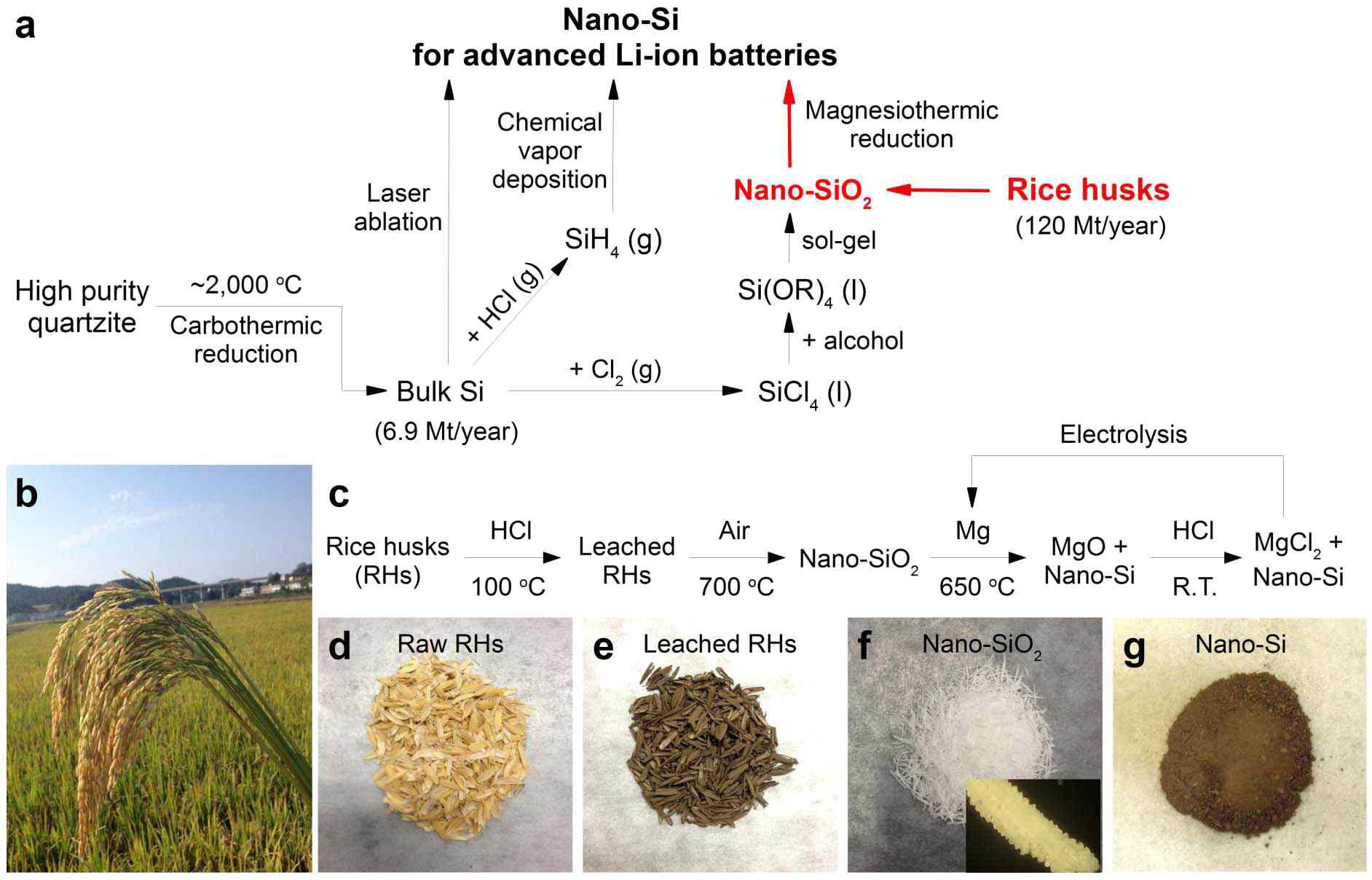 쌀겨를 이용한 저가의 실리콘 생성 방법 Liu et al, Scientific Reports (2013)