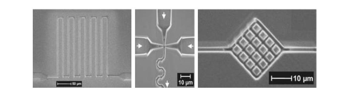 FIB 가공기술을 이용하여 제작된 Nanofluidic channel의 예