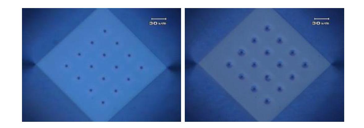 4x4 hole array(왼쪽)와 suction을 통해 용액 내 세포를 개별 hole에 위치시킨 세포칩