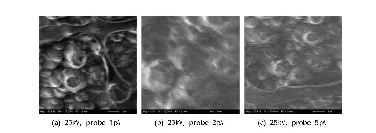 노이즈 테스트를 위한 image focusing (a), (b), (c)