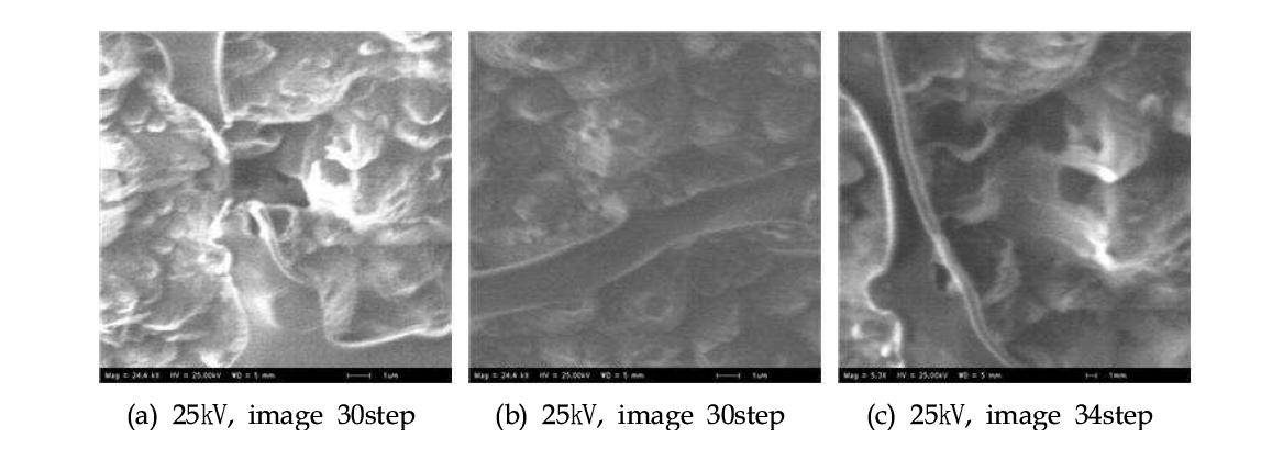 노이즈 테스트를 위한 image focusing (a), (b), (c)