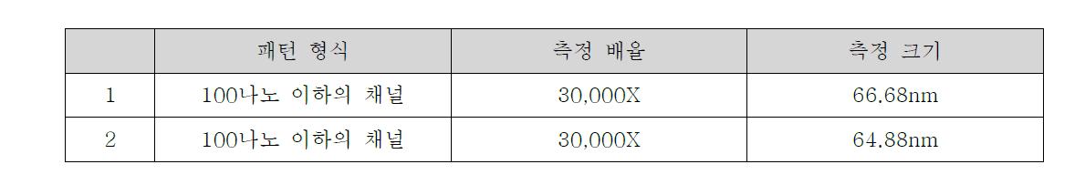 SEM를 통한 100나노 이하의 채널 폭 가공 분석