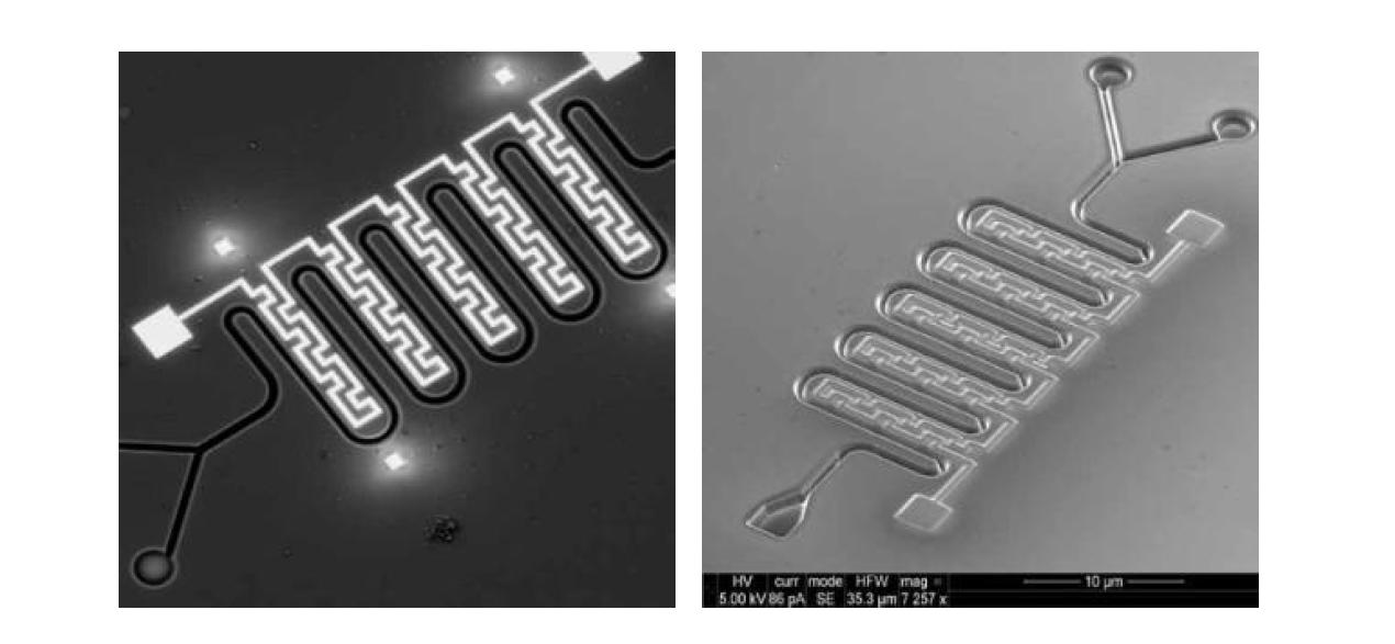 유체 분석 및 온도제어를 위해 FIB 장비를 이용해 제작한 나노유체 채널-전극 소자
