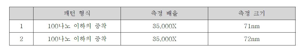 AFM을 통한 FIB의 GIS를 이용한 100nm이하의 폭을 가진 Deposition 공정 조건 분석