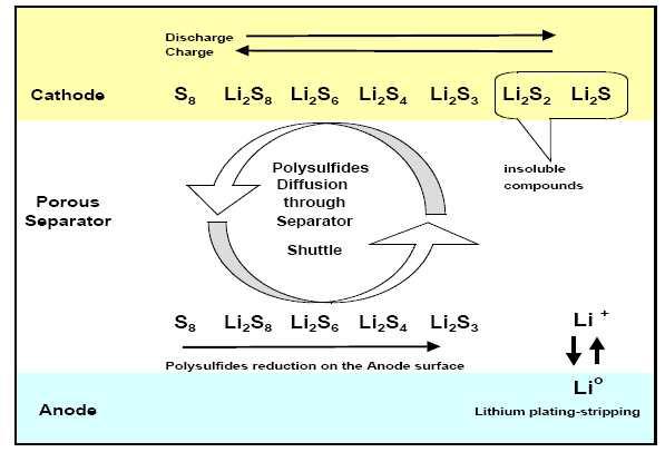 충방전에 따른 리튬황 전지의 반응 생성물과 전해액사이의 부반응