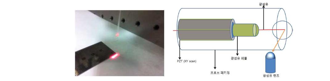 Line scan이 가능한 광프로브 및 면적스캔을 위한 광프로브 구성도