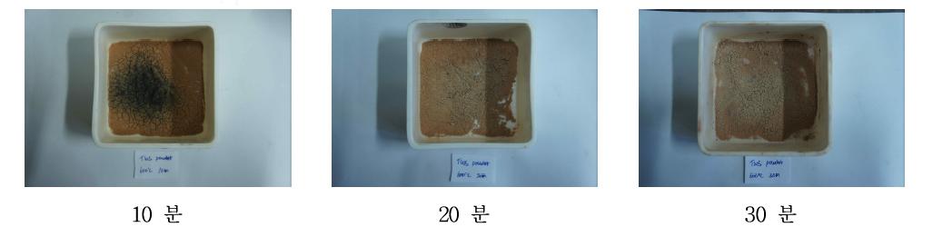 600℃조건에서 시간에 따른 정수슬러지 형상.