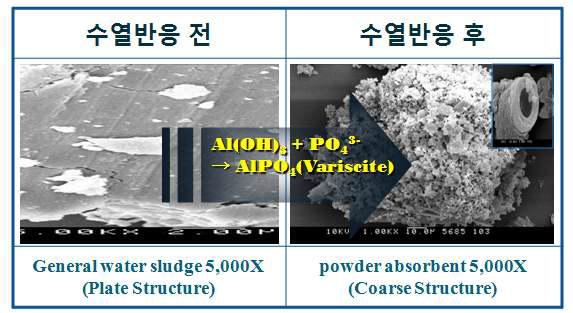 정수슬러지와 인공제올라이트 흡착제 SEM 사진 비교.