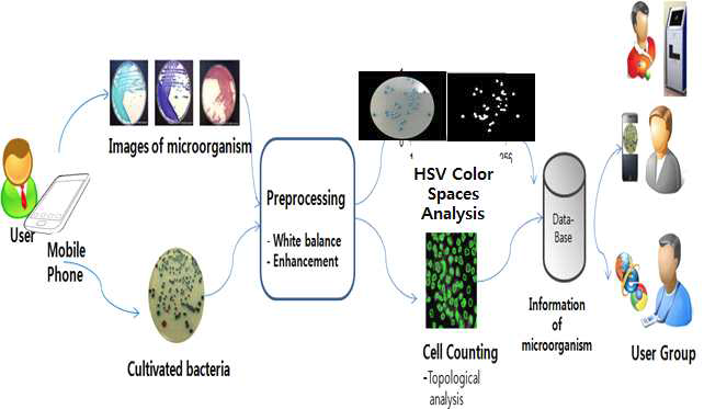 모바일 폰으로 획득된 미생물 영상의 분석, 저장, 서비스 체계