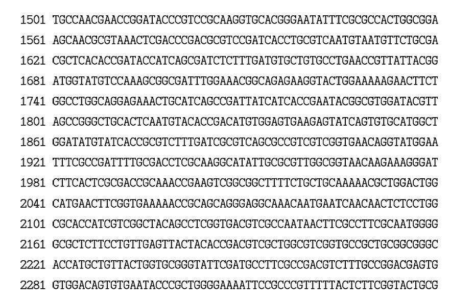 β-glucuronidase 유전자의 염기서열 및 프라이머의 위치