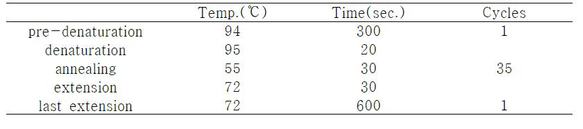 β-glucuronidase 유전자 검출을 위한 PCR 증폭조건