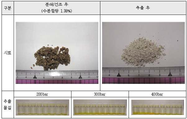 추출에 사용한 들깨의 추출 전과 추출 후 변화