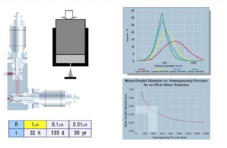 호모게나이저를 이용한 에멀전 제조