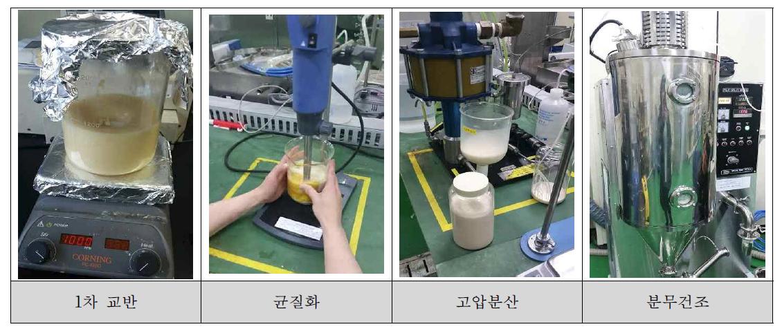 미세 캡슐화 공정