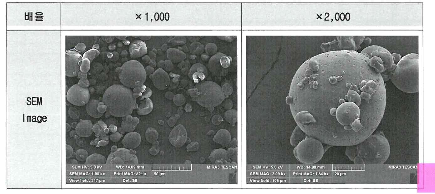 1차 조건에서의 분말 SEM 촬영 결과