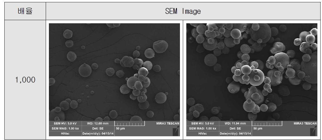 3차 조건에서의 분말 SEM 촬영 결과