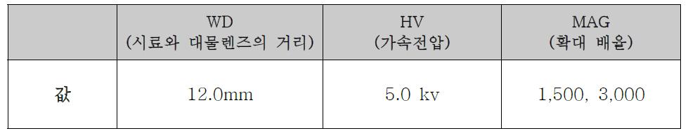 FE-SEM 촬영 조건