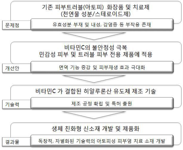 기술개발 추진 전략