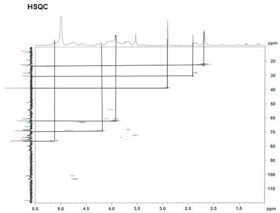 Ascorbyl propyl hyaluronate의 2D NMR spectra 정리