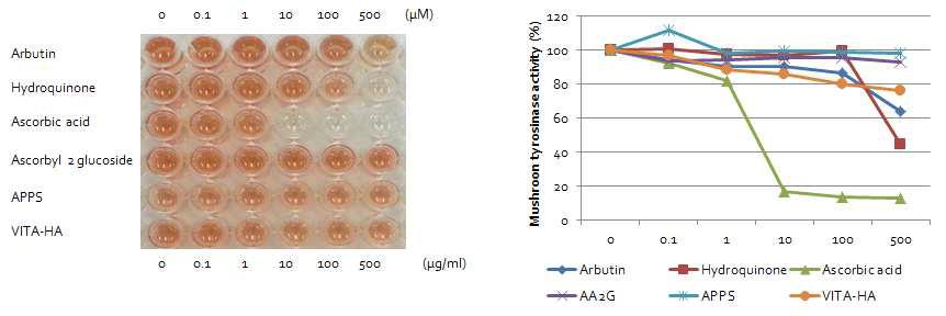 Ascorbic propyl hyaluronate의 mushroom tyrosinase 효소활성 저해 시험