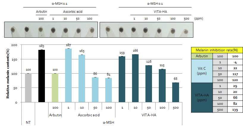 Ascorbic propyl hyaluronate의 멜라닌 함량 저해 시험