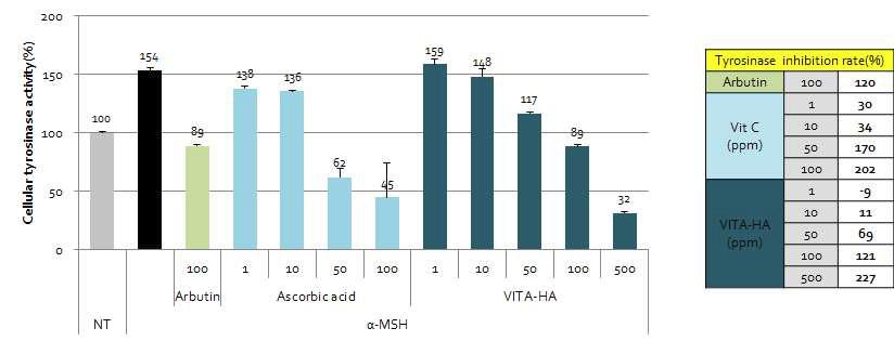 Ascorbic propyl hyaluronate의 세포내 tyrosinase 효소 활성 저해 시험