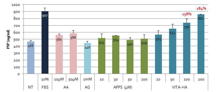 Ascorbic propyl hyaluronate의 처리에 의한 진피 섬유아세포의 콜라겐 생합성 유도효과