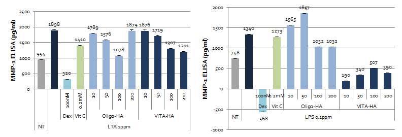 Ascorbic propyl hyaluronate의 MMP1 억제효과