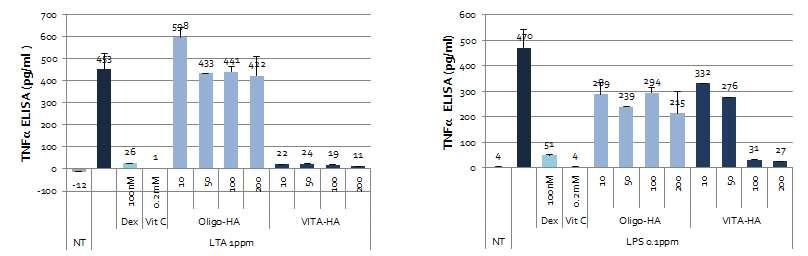 Ascorbic propyl hyaluronate의 TNFα 억제효과