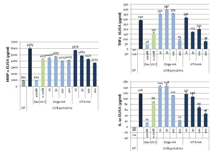 Ascorbic propyl hyaluronate의 광노화 억제 효능 시험