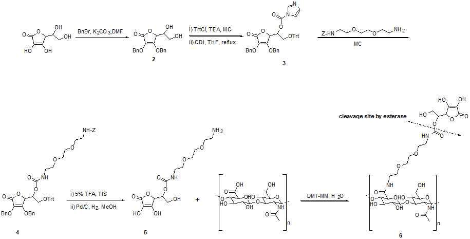 Ascorbyl hyaluronate 합성공정 개선-1