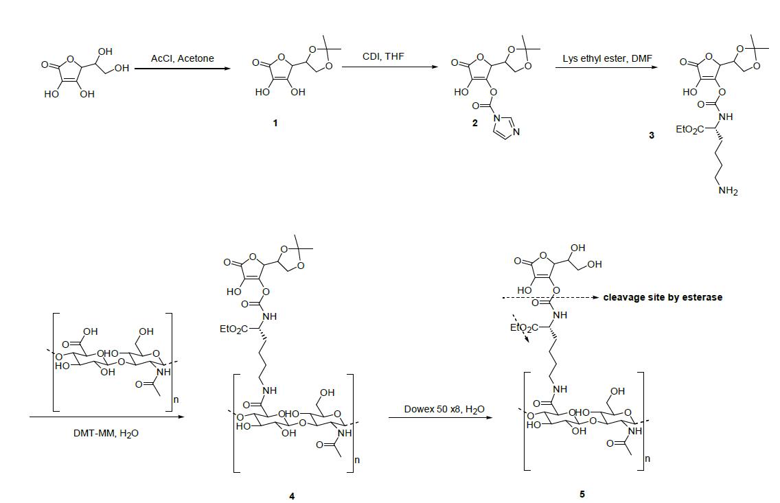 Ascorbyl hyaluronate 합성공정 개선-2