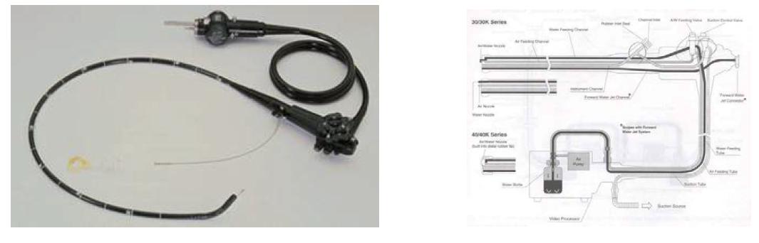 일반적인 내시경 구조